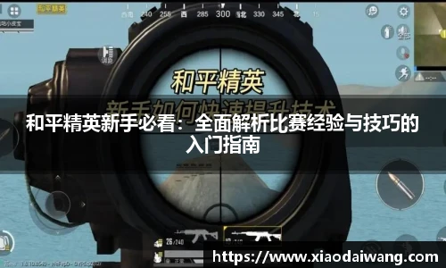 和平精英新手必看：全面解析比赛经验与技巧的入门指南